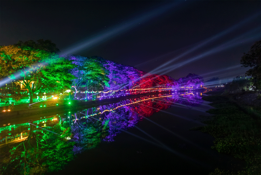 Colorful lights illuminating trees beside a lake at night